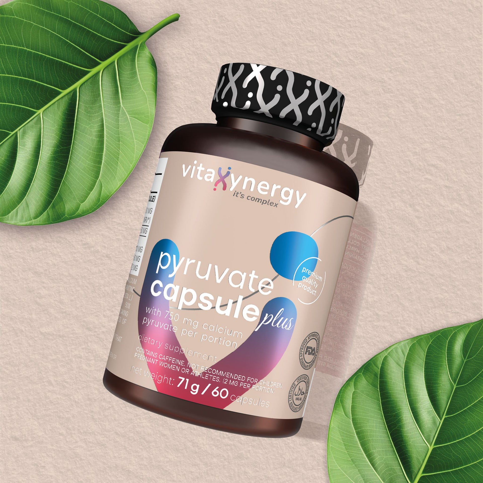pyruvate capsule model